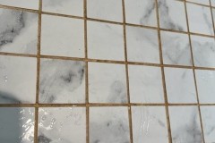 Grout-Cleaning-Before