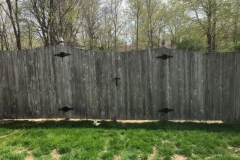 Took out fence and made a gate