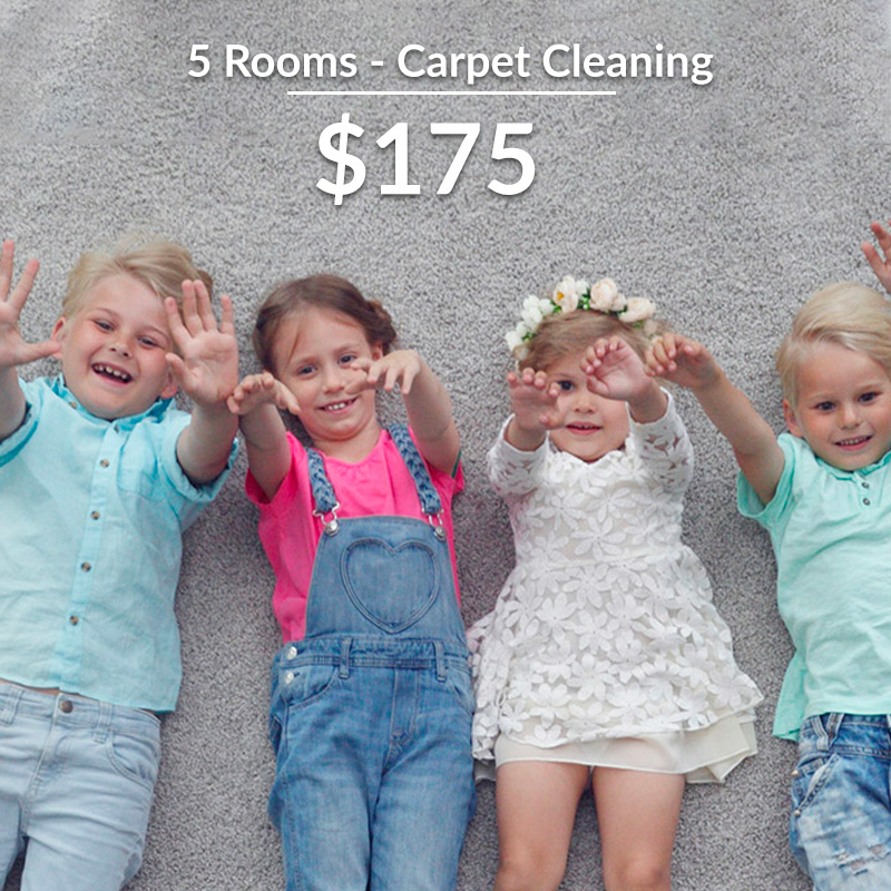 carpet cleaning image